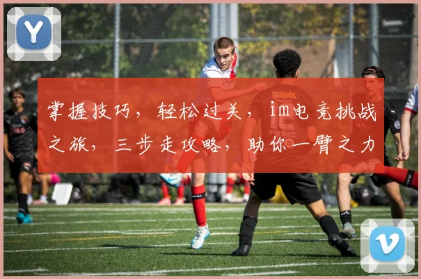 掌握技巧，轻松过关，im电竞挑战之旅，三步走攻略，助你一臂之力，轻松通关