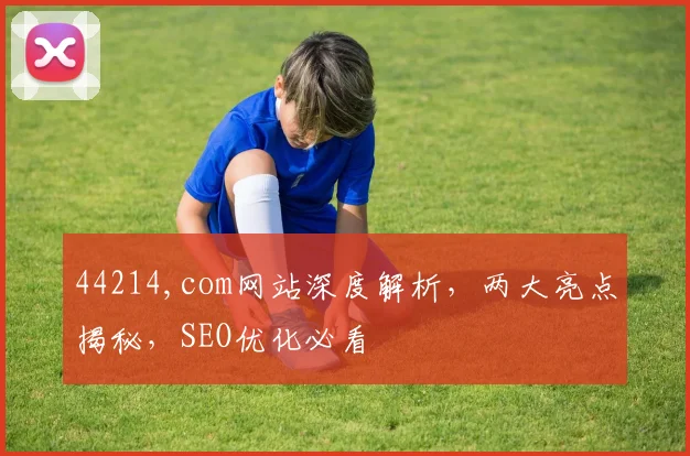 44214,com网站深度解析，两大亮点揭秘，SEO优化必看