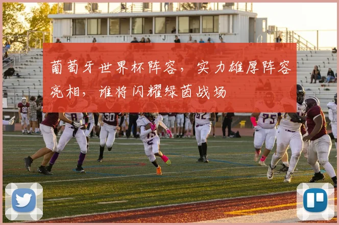 葡萄牙世界杯阵容，实力雄厚阵容亮相，谁将闪耀绿茵战场