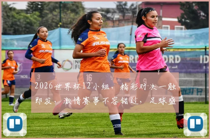 2026世界杯12小组，精彩对决一触即发，激情赛事不容错过，足球盛宴等你来观