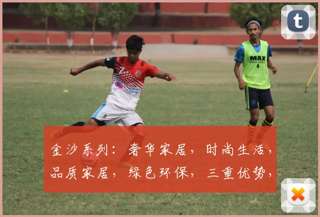 金沙系列：奢华家居，时尚生活，品质家居，绿色环保，三重优势，引领潮流