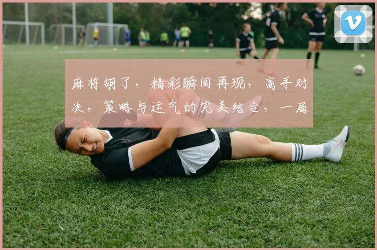 麻将胡了，精彩瞬间再现，高手对决，策略与运气的完美结合，一局定胜负